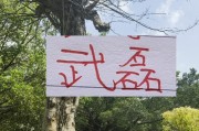 2月海港就要打亚冠比赛 大概率武磊+莱昂纳多 这些一哥上不了